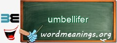 WordMeaning blackboard for umbellifer